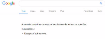 Recherche Google sans résultats